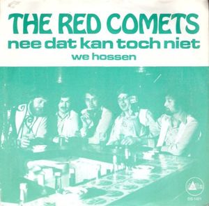 Nee dat kan toch niet / We hossen (Single)