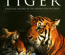 image-https://media.senscritique.com/media/000019972208/0/Land_of_the_Tiger.jpg