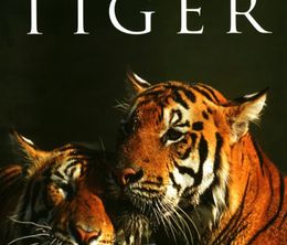 image-https://media.senscritique.com/media/000019972210/0/Land_of_the_Tiger.jpg
