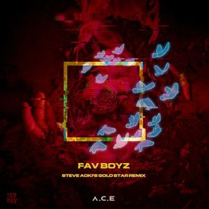 Fav Boyz (Steve Aoki’s Gold Star remix) (instrumental)