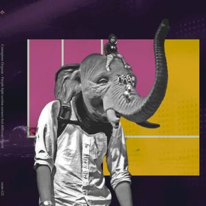 Purple Light Section Corners Feel Different World