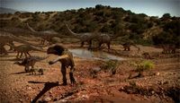 The Watering Hole