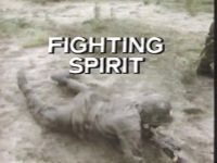 Fighting Spirit