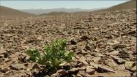 Le désert d'Atacama