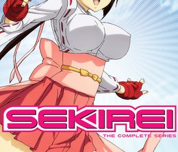 image-https://media.senscritique.com/media/000019980173/0/sekirei_pure_engagement.jpg