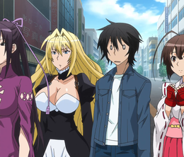 image-https://media.senscritique.com/media/000019980185/0/sekirei_pure_engagement.png