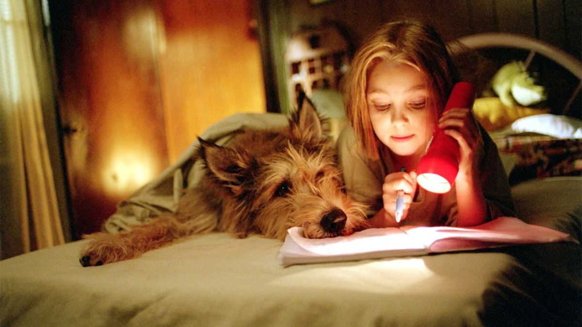 Winn Dixie Mon Meilleur Ami Winn-Dixie, mon meilleur ami - Film (2005) - SensCritique