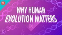 Why Human Evolution Matters
