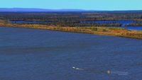 Beaufort Sea