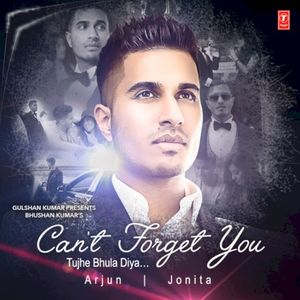 Can't Forget You (Tujhe Bhula Diya)