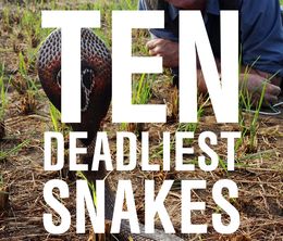 image-https://media.senscritique.com/media/000019984310/0/ten_deadliest_snakes_with_nigel_marven.jpg