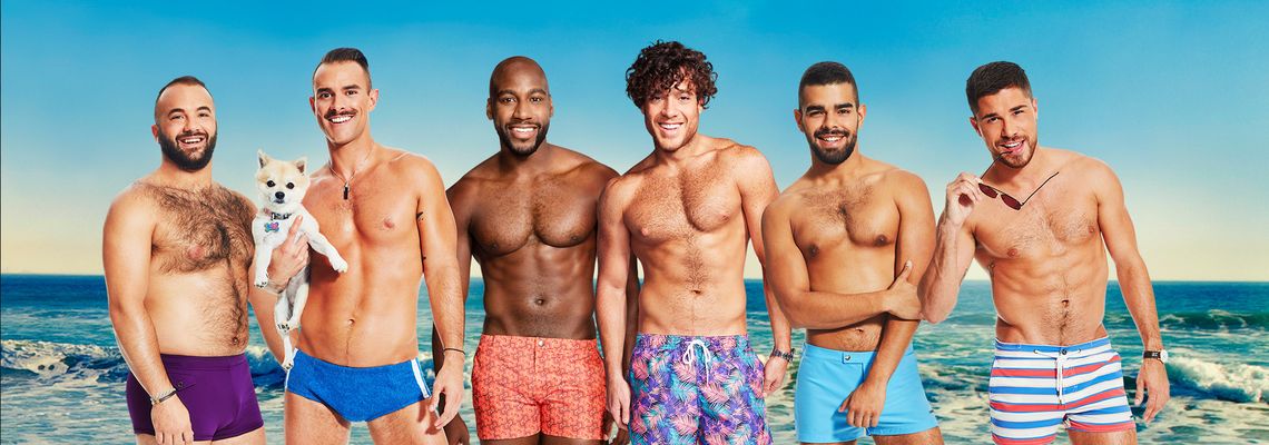 Cover Fire Island
