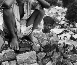 image-https://media.senscritique.com/media/000019988356/0/India_s_Partition_The_Forgotten_Story.jpg
