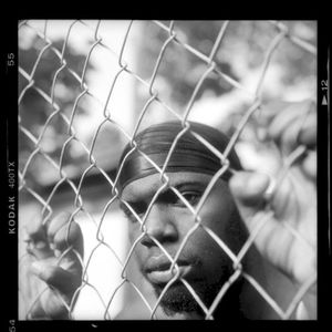 Fences (Single)