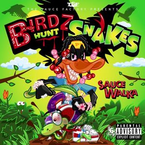 Birdz Hunt Snakes