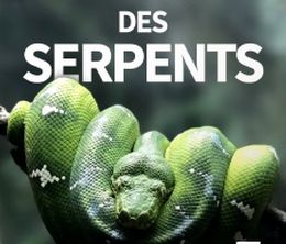 image-https://media.senscritique.com/media/000019996019/0/les_secrets_des_serpents.jpg