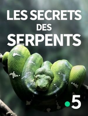 Les Secrets des serpents