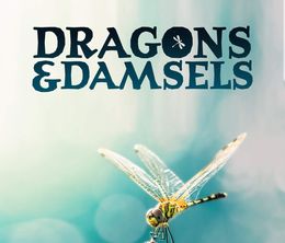 image-https://media.senscritique.com/media/000019996379/0/dragons_damsels.jpg