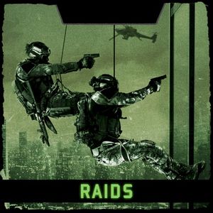 Raids