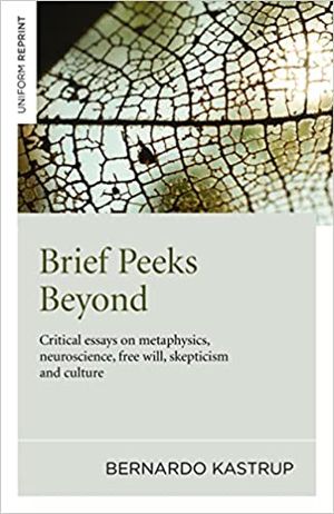 Brief Peeks Beyond