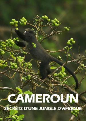 Cameroun - Secrets d'une jungle d'Afrique