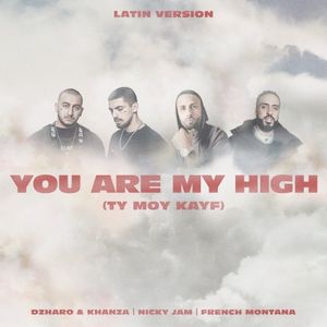 You Are My High (Ty moy kayf) (latin version)