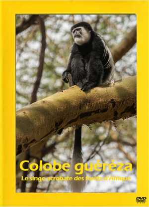 Le Colobe Guéréza: Le Singe acrobate des forêts d'Afrique