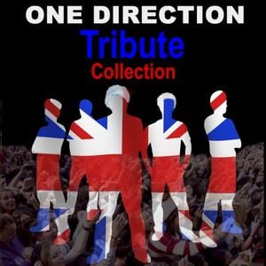 One Direction Tribute Collection