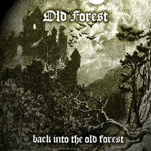 Back into the Old Forest