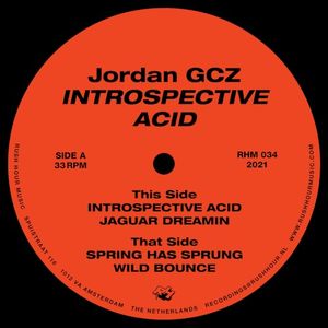 Introspective Acid (EP)