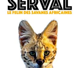 image-https://media.senscritique.com/media/000020006066/0/serval_le_felin_des_savanes_africaines.jpg