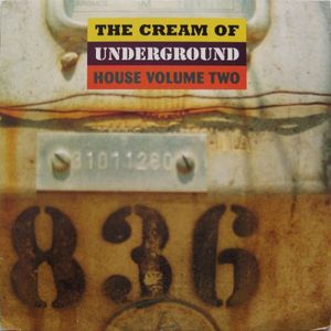 The Cream Of Underground House Volume Two