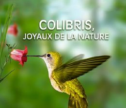 image-https://media.senscritique.com/media/000020006678/0/colibris_joyaux_de_la_nature.jpg