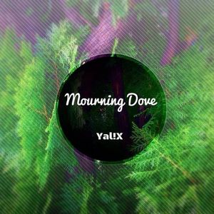 Mourning Dove (Single)