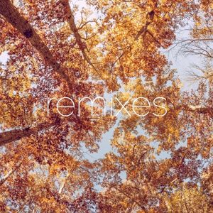 Remixes