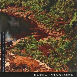 sonic phantoms
