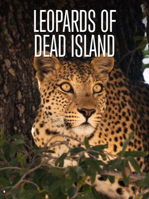 L'Île aux léopards