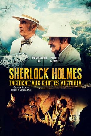 Sherlock Holmes : Incident aux chutes Victoria