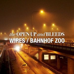 Wires/Bahnhof Zoo (Single)