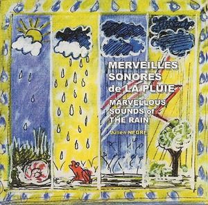 Marvellous Sounds of the Rain