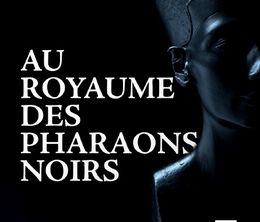 image-https://media.senscritique.com/media/000020015626/0/au_royaume_des_pharaons_noirs.jpg