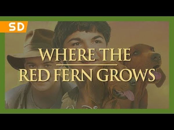 Where the Red Fern Grows