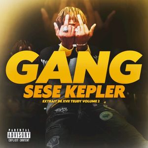 Le Gang (Single)