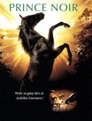Affiche Prince Noir