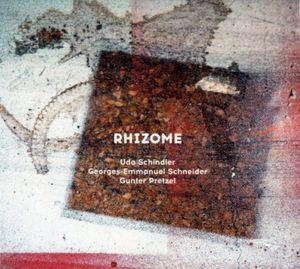 Rhizome