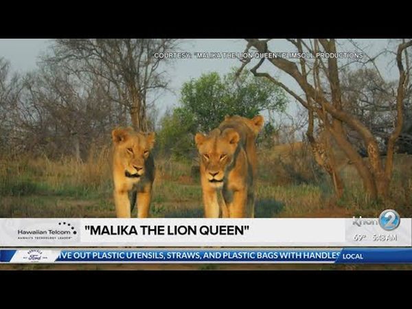 Malika the Lion Queen