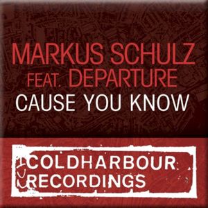 Cause You Know (Nic Chagall remix)