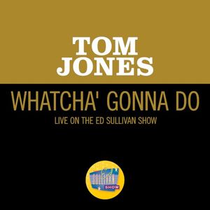 Whatcha’ Gonna Do (live on the Ed Sullivan Show, June 13, 1965) (Live)