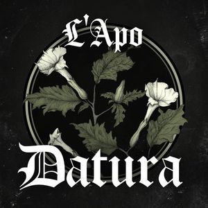 Datura