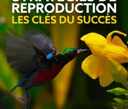 image-https://media.senscritique.com/media/000020028915/0/strategies_de_reproduction_les_cles_du_succes_1_2.jpg